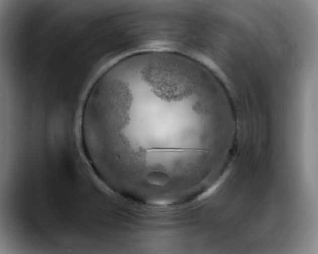 X0000089381421200706151156