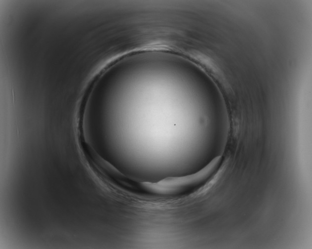 X0000089381422200706151156