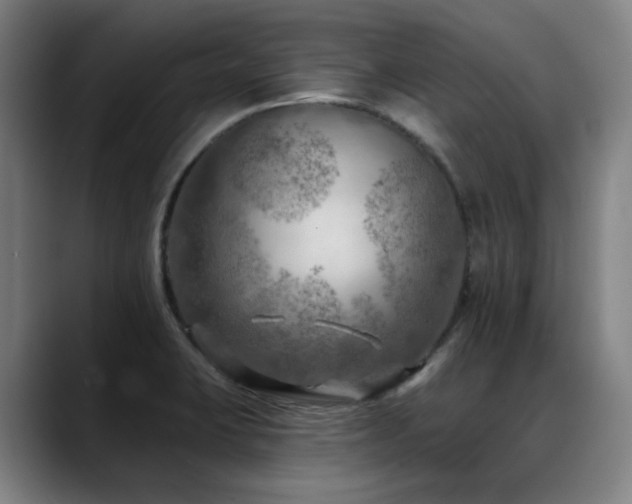 X0000089381423200706151156