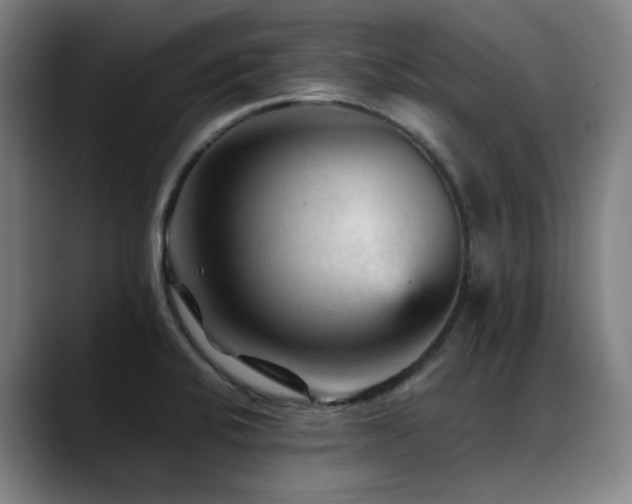X0000089381424200706151156