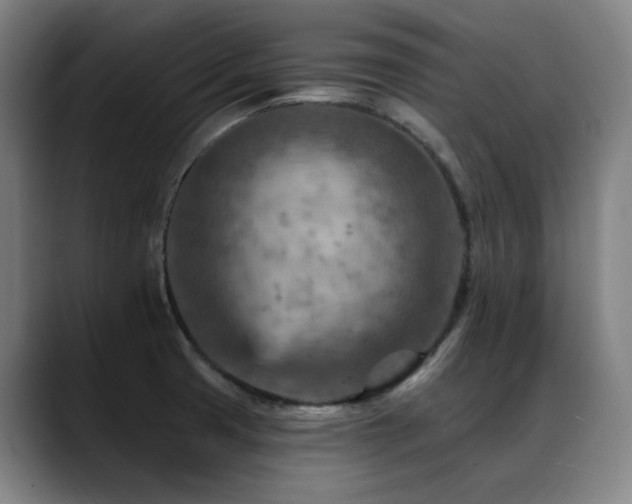 X0000089381425200706151156