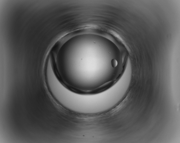 X0000089381426200706151156