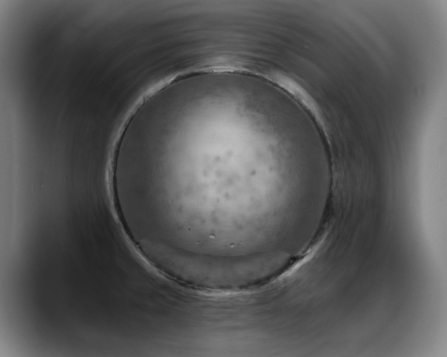 X0000089381429200706151156