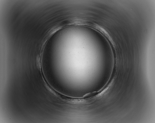 X0000089381433200706151156