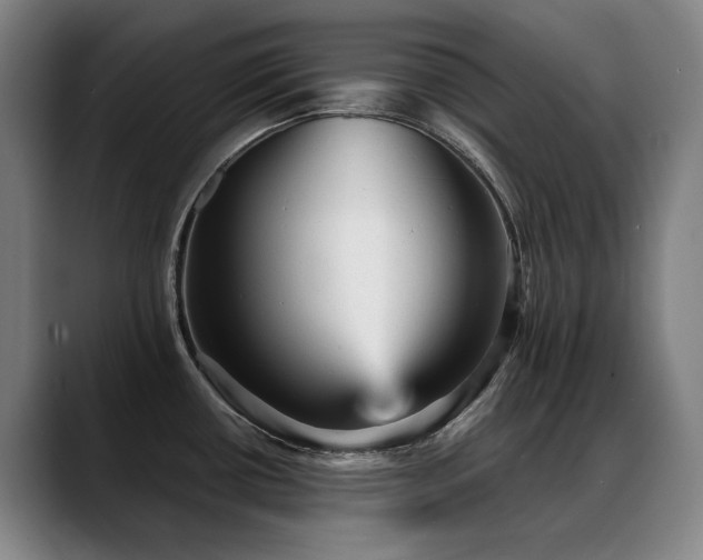 X0000089381434200706151156