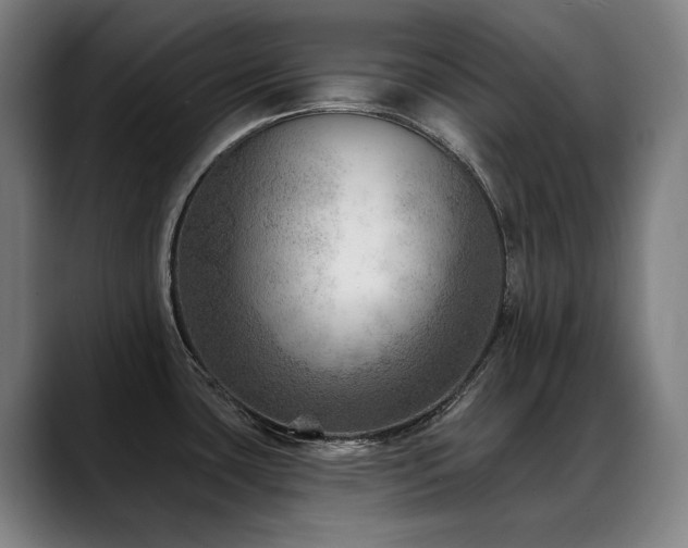 X0000089381435200706151156