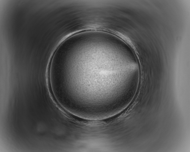 X0000089381440200706151156
