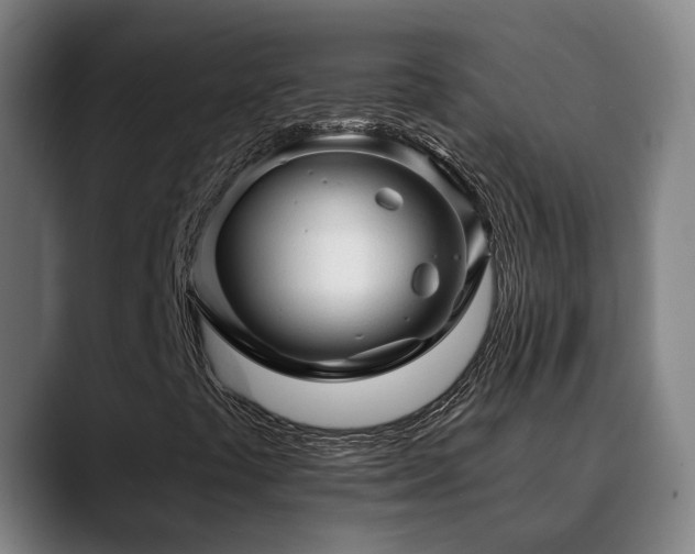 X0000089381441200706151155