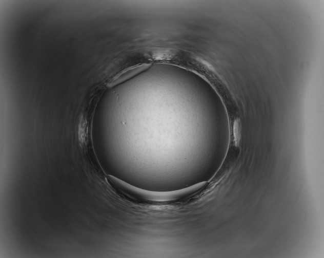 X0000089381443200706151155
