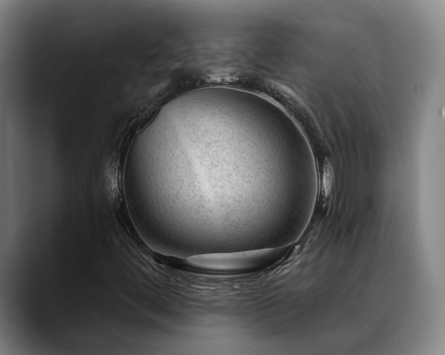 X0000089381444200706151155