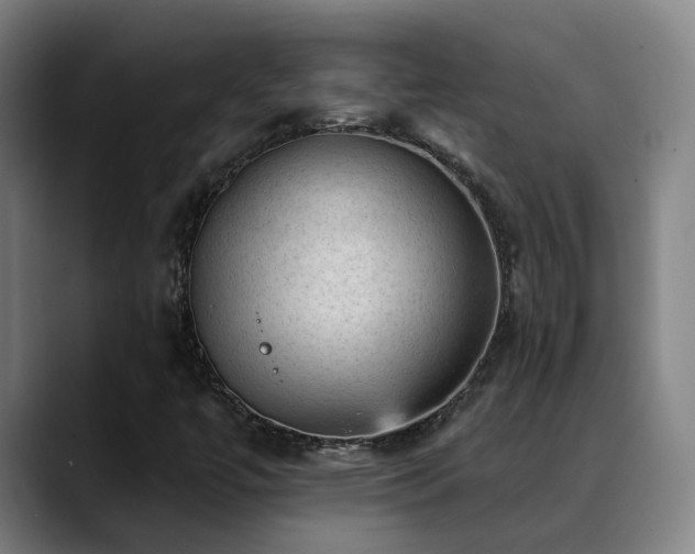 X0000089381447200706151155