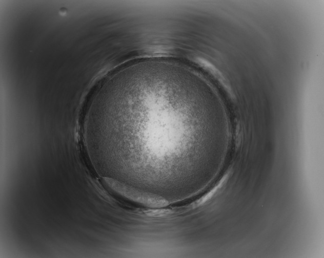 X0000089381449200706151155