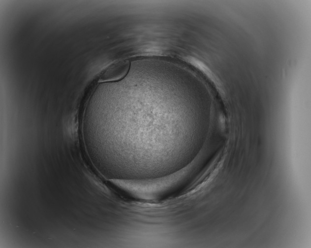 X0000089381450200706151155