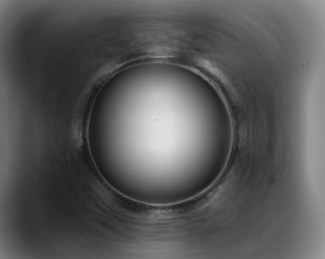X0000089381451200706151155