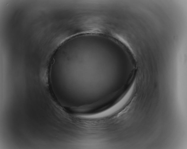 X0000089381455200706151155