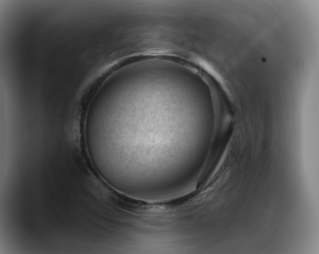 X0000089381456200706151155