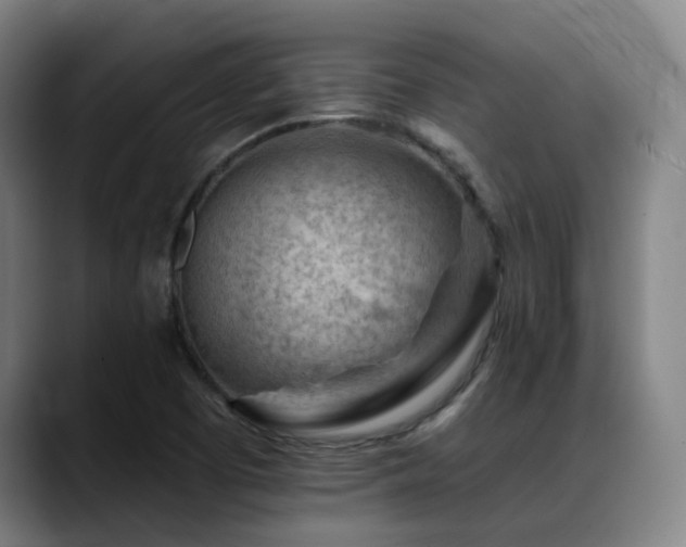 X0000089381457200706151155