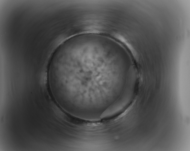 X0000089381459200706151155