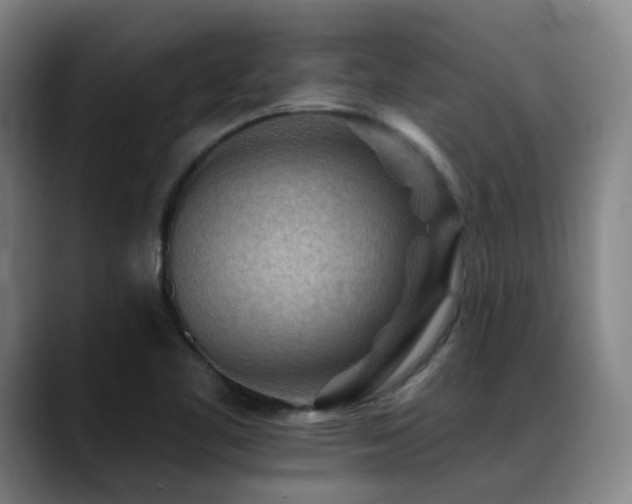 X0000089381461200706151155