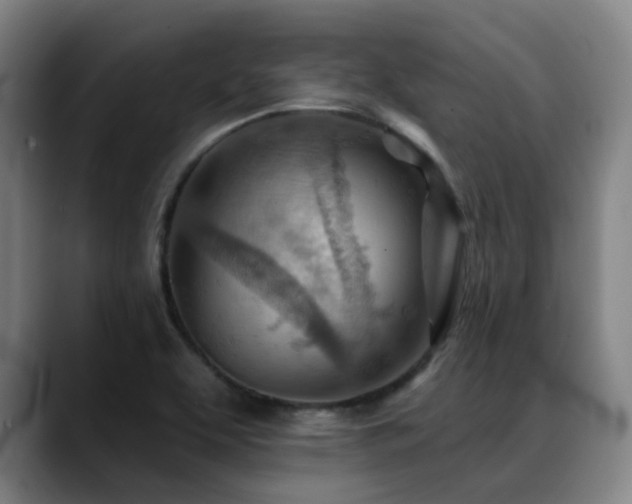 X0000089381463200706151155