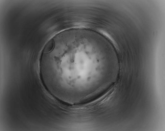 X0000089381467200706151155