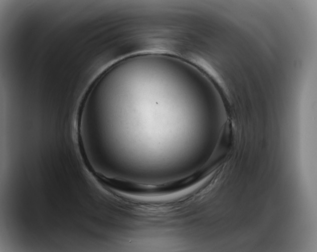 X0000089381468200706151155