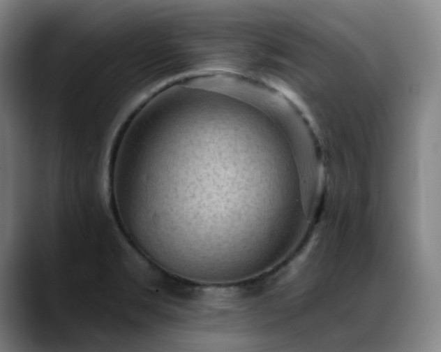 X0000089381469200706151155