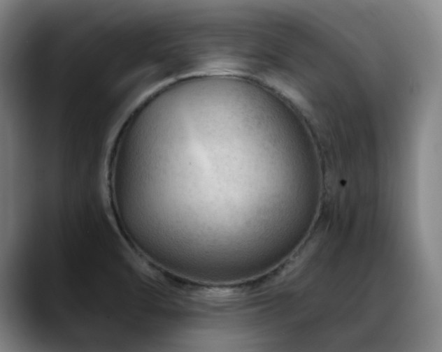 X0000089381470200706151155
