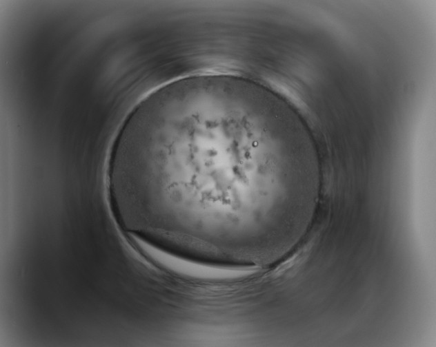 X0000089381471200706151155