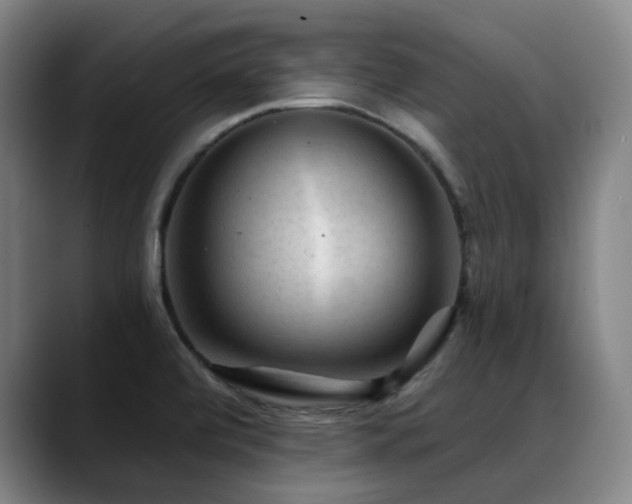 X0000089381472200706151155