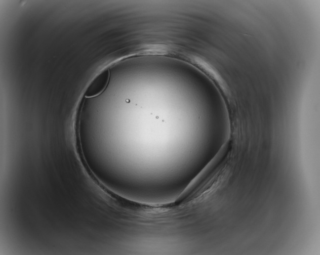 X0000089381475200706151155