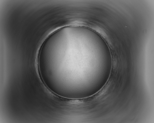 X0000089381478200706151155