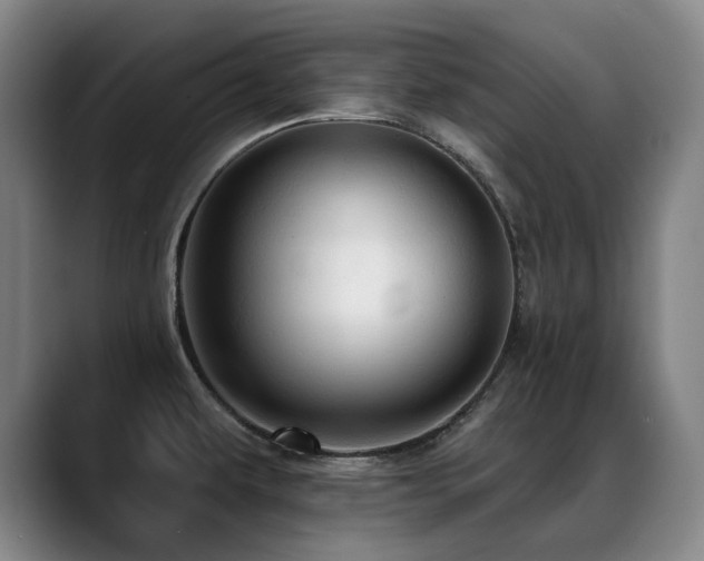 X0000089381479200706151155