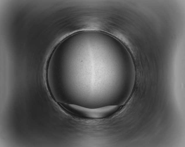 X0000089381480200706151155