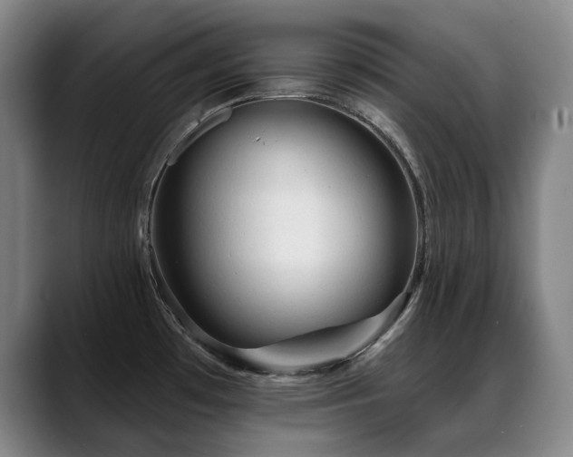 X0000089381481200706151155