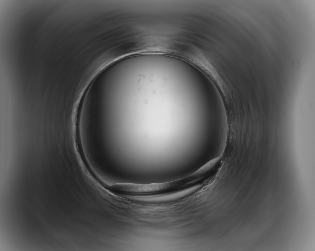 X0000089381483200706151155