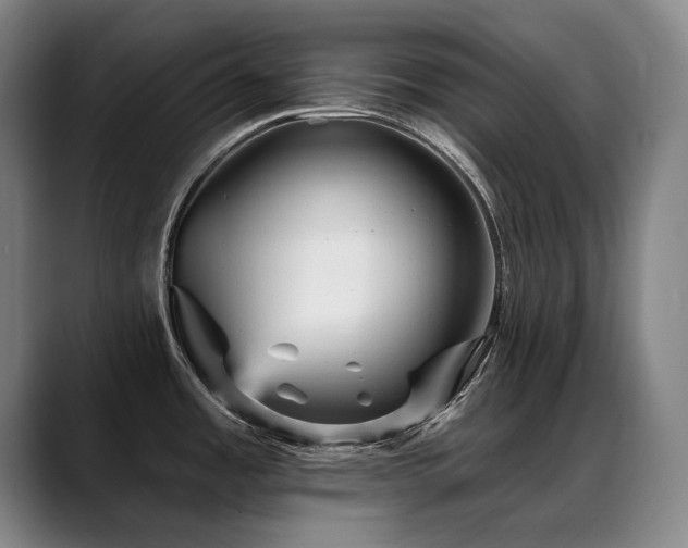 X0000089381485200706151155