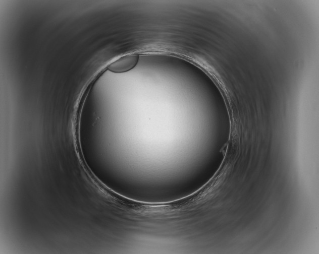 X0000089381486200706151155