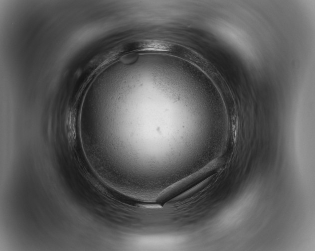 X0000089381487200706151155