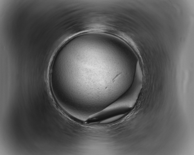 X0000089381488200706151155