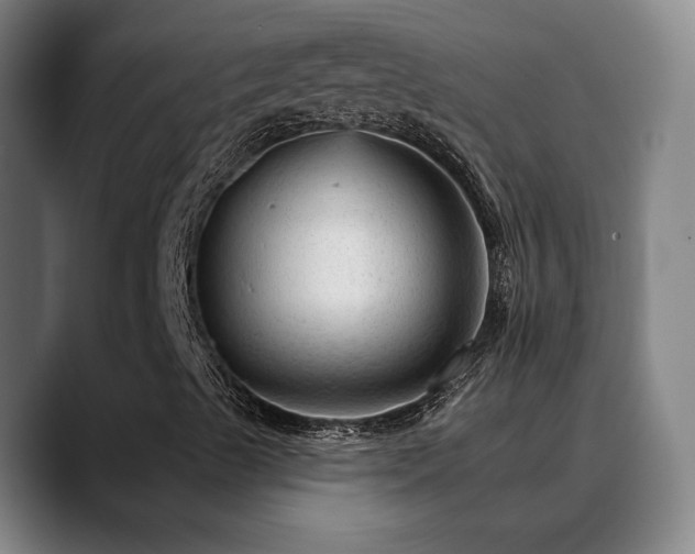 X0000089381489200706151154