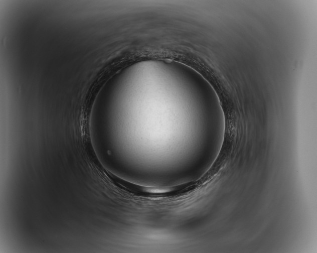 X0000089381490200706151154