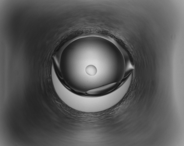 X0000089381492200706151154