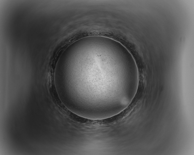 X0000089381493200706151154