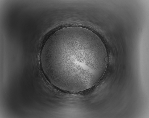 X0000089381494200706151154