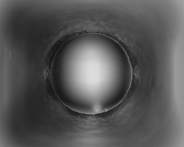 X0000089381495200706151154