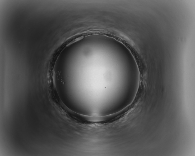 X0000089381496200706151154