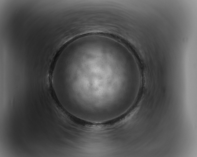 X0000089381497200706151154