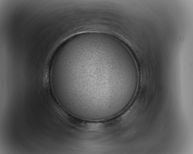 X0000089381498200706151154