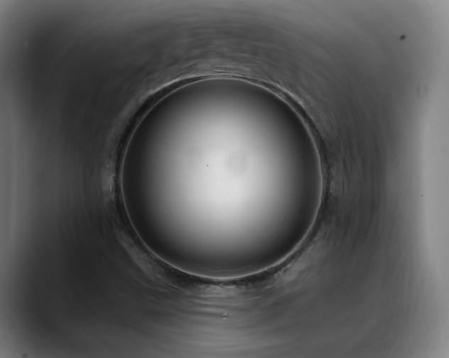 X0000089381499200706151154